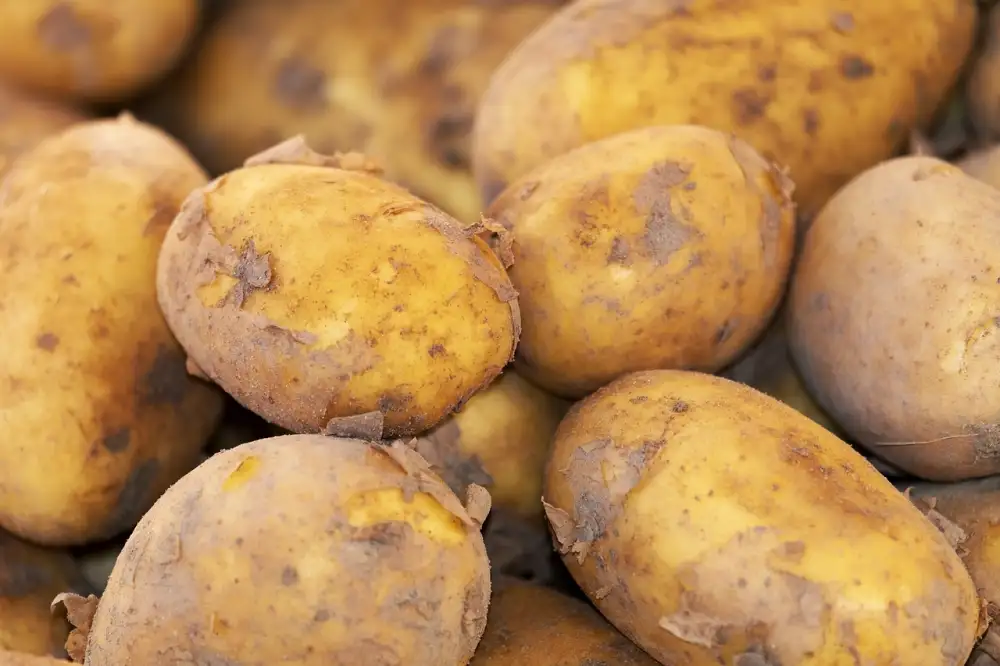 Irish Potato Recipes