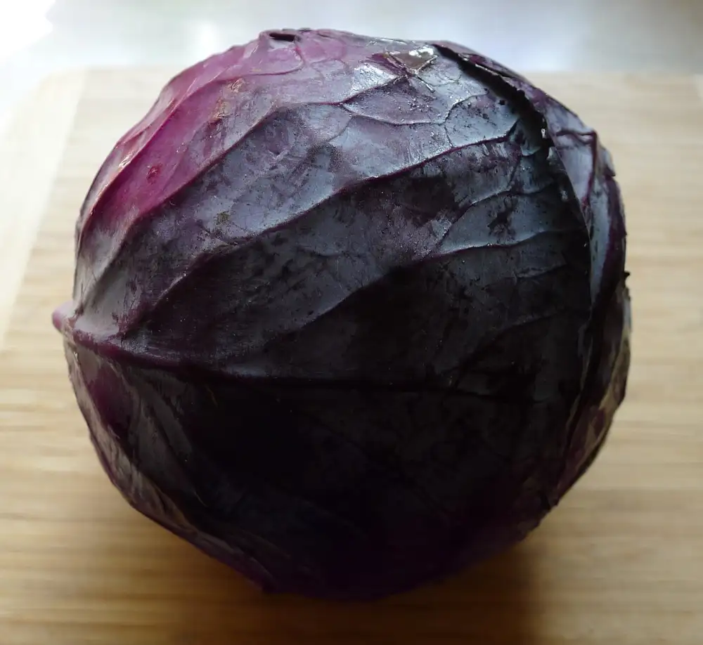 Red Cabbage Recipes